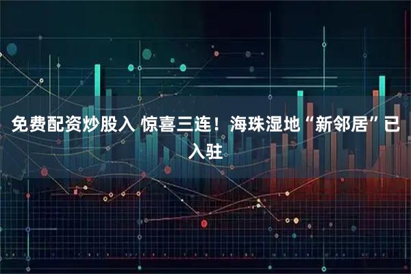 免费配资炒股入 惊喜三连！海珠湿地“新邻居”已入驻