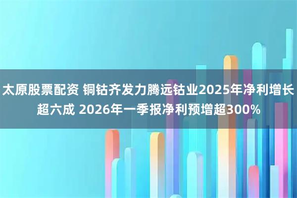 太原股票配资 铜钴齐发力腾远钴业2025年净利增长超六成 2026年一季报净利预增超300%